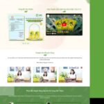 Theme wordpress bán hàng thực phẩm kẹo dứa