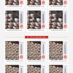 Theme wordpress công ty sắt thép