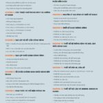 Theme wordpress lading pape khóa học