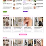 Theme wordpress review 1