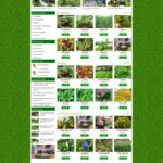Themewordpress bán cây xanh