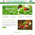 Theme wordpress thực phẩm sạch 08